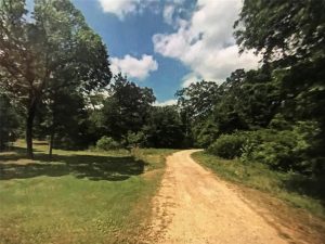 Land for Sale in 77447